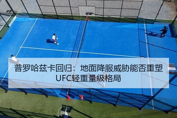 普罗哈兹卡回归：地面降服威胁能否重塑UFC轻重量级格局